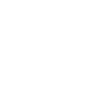 ingenuity group white logo 1024x1024